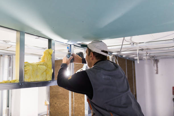 Best Insulation Maintenance and Repair in Heron Bay, GA