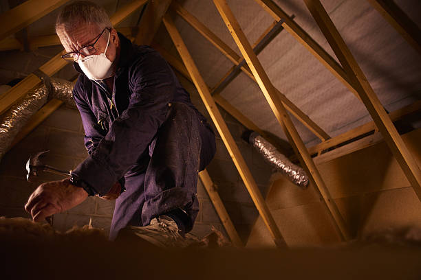 Best Insulation for Specific Applications in Heron Bay, GA